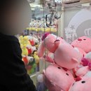 케이스포츠가인볼링센터 이미지