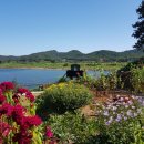 정기농장 이미지