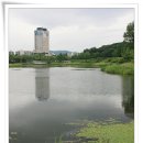 풍경좋다 이미지