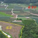 귀촌공인중개사사무소 이미지