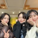 고립낙원 이미지