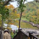 호수속의동화풍경 | 부산 단풍명소 호수에 비친 가을 풍경, 안데르센 동화마을 실시간 단풍