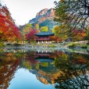 전남도, ‘단풍길 따라 떠나는 힐링여행지’ 4곳 추천 이미지