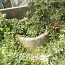 삼달2리 이미지