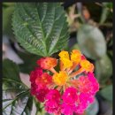 주안역 센트레빌아파트 이미지