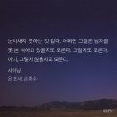 포세 | [문학소설 리뷰] 샤이닝/욘 포세 후기