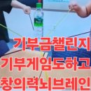 한국창의인성교육진흥원 이미지