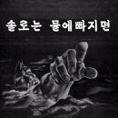 이리로 - 화성시 노작로1길 27 | 이리로