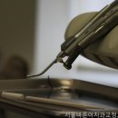 서울바른이치과의원 네이버블로그