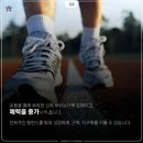 대한검도 두정검도관 이미지