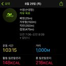 대쉬필름 이미지