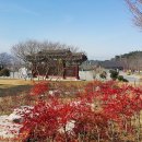 성기동 이미지