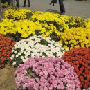 월드컵경기장역(6) 이미지