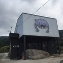 씨젤리피쉬 이미지