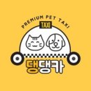 댕댕카 이미지