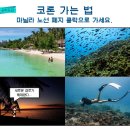 6051 | 필리핀 코론 가는법 아직도 마닐라로 가세요?클락 경유 최신 루트 총정리