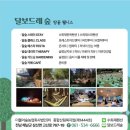 달보드레 이미지