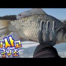 고구낚시터 이미지