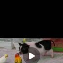 세븐카페 이미지