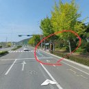 밝은 현약국 이미지