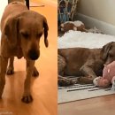 상식농장 이미지