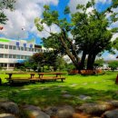 전라남도 지체장애인협회 곡성군지회 이미지