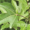 (주)에이치에스피라이프 이미지