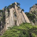 에덴동산 이미지