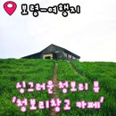천북3 | 4월 5월 여행지 추천 천북 청보리창고 카페 그해 우리는 드라마 촬영지 방문 후기 입장료 애견동반 주차장