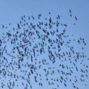 뉴대영장 이미지