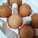 쉴만한 농원 이미지