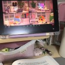 [사회복지사 1급 3교시] 사회복지법제와 실천(이론과정) | 2026년 제24회 사회복지사 1급 시험 후기