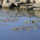 낙동강변22 이미지