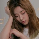 마은진 카카오 검색결과