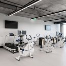 시드니스포츠 이미지