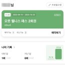 요가 | 오붓 웰니스 패스 / 제주 요가베르데 하타요가 후기, 예약 꿀팁