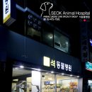 석동물병원 이미지