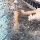 제이와이키즈스윔 이미지