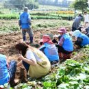 아이자람터어린이집 이미지