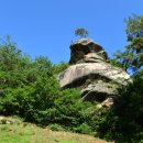 영남불교대학 앞 이미지