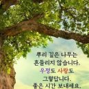 Soft scent(은은한 향기)