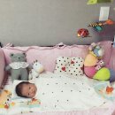 도담플라워 - 수원시 권선구 경수대로381번길 13 | 도담플라워