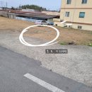 보성터미널앞 이미지