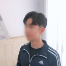 사파동184 이미지