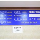 싱싱오름