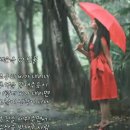 &#34;홍하사의 잡다한이야기&#34;---(1403) &#34;인생 이야기&#34;---(323) (가짜 대통령) &amp; (채은옥의 빗물) 이미지