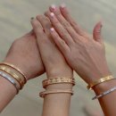 270-3030 | 2025년 5월 까르띠에 인상 총정리 – 팬더, 베누아, 앵끌루 주요 라인별 변화 분석