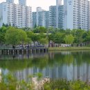 남부공원 이미지