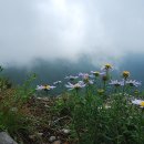 플러스알파 이미지