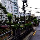 홍은중학교 이미지